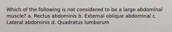 Which of the following is not considered to be a large abdominal muscle? a. Rectus abdominis b. External oblique abdominal c. Lateral abdominis d. Quadratus lumborum