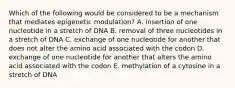 Which of the following would be considered to be a mechanism that mediates epigenetic modulation? A. insertion of one nucleotide in a stretch of DNA B. removal of three nucleotides in a stretch of DNA C. exchange of one nucleotide for another that does not alter the amino acid associated with the codon D. exchange of one nucleotide for another that alters the amino acid associated with the codon E. methylation of a cytosine in a stretch of DNA