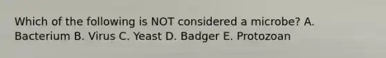 Which of the following is NOT considered a microbe? A. Bacterium B. Virus C. Yeast D. Badger E. Protozoan