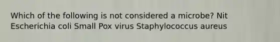 Which of the following is not considered a microbe? Nit Escherichia coli Small Pox virus Staphylococcus aureus