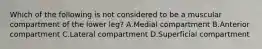 Which of the following is not considered to be a muscular compartment of the lower leg? A.Medial compartment B.Anterior compartment C.Lateral compartment D.Superficial compartment