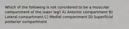 Which of the following is not considered to be a muscular compartment of the lower leg? A) Anterior compartment B) Lateral compartment C) Medial compartment D) Superficial posterior compartment