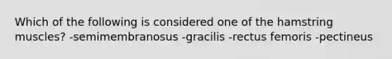 Which of the following is considered one of the hamstring muscles? -semimembranosus -gracilis -rectus femoris -pectineus