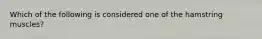 Which of the following is considered one of the hamstring muscles?