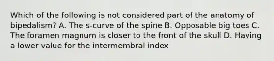 Which of the following is not considered part of the anatomy of bipedalism? A. The s-curve of the spine B. Opposable big toes C. The foramen magnum is closer to the front of the skull D. Having a lower value for the intermembral index