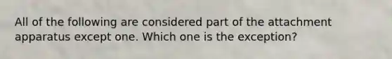 All of the following are considered part of the attachment apparatus except one. Which one is the exception?