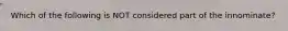 Which of the following is NOT considered part of the innominate?