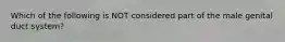 Which of the following is NOT considered part of the male genital duct system?