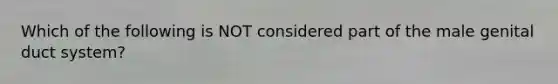 Which of the following is NOT considered part of the male genital duct system?