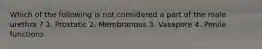 Which of the following is not considered a part of the male urethra ? 1. Prostatic 2. Membranous 3. Vasapore 4. Penile functions