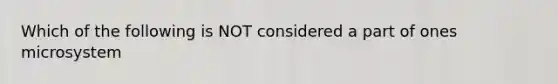 Which of the following is NOT considered a part of ones microsystem