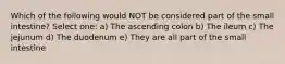 Which of the following would NOT be considered part of the small intestine? Select one: a) The ascending colon b) The ileum c) The jejunum d) The duodenum e) They are all part of the small intestine