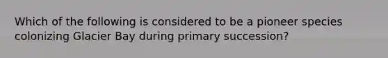 Which of the following is considered to be a pioneer species colonizing Glacier Bay during primary succession?