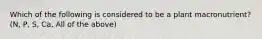 Which of the following is considered to be a plant macronutrient? (N, P, S, Ca, All of the above)