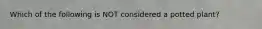 Which of the following is NOT considered a potted plant?