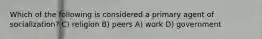 Which of the following is considered a primary agent of socialization? C) religion B) peers A) work D) government