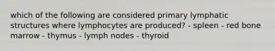 which of the following are considered primary lymphatic structures where lymphocytes are produced? - spleen - red bone marrow - thymus - lymph nodes - thyroid