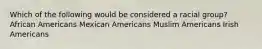 Which of the following would be considered a racial group? African Americans Mexican Americans Muslim Americans Irish Americans