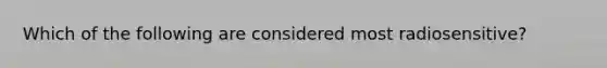 Which of the following are considered most radiosensitive?