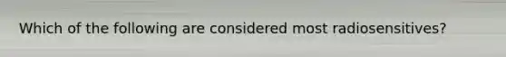 Which of the following are considered most radiosensitives?