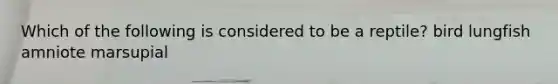 Which of the following is considered to be a reptile? bird lungfish amniote marsupial