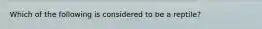 Which of the following is considered to be a reptile?