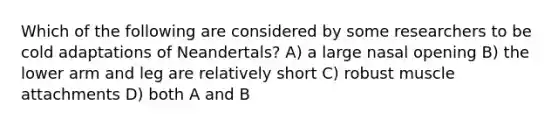 Which of the following are considered by some researchers to be cold adaptations of Neandertals? A) a large nasal opening B) the lower arm and leg are relatively short C) robust muscle attachments D) both A and B