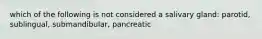 which of the following is not considered a salivary gland: parotid, sublingual, submandibular, pancreatic