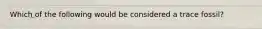 Which of the following would be considered a trace fossil?