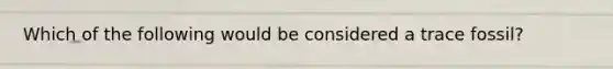Which of the following would be considered a trace fossil?
