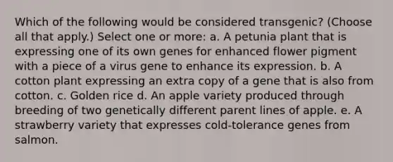 Which of the following would be considered transgenic? (Choose all that apply.) Select one or more: a. A petunia plant that is expressing one of its own genes for enhanced flower pigment with a piece of a virus gene to enhance its expression. b. A cotton plant expressing an extra copy of a gene that is also from cotton. c. Golden rice d. An apple variety produced through breeding of two genetically different parent lines of apple. e. A strawberry variety that expresses cold-tolerance genes from salmon.