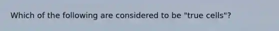 Which of the following are considered to be "true cells"?