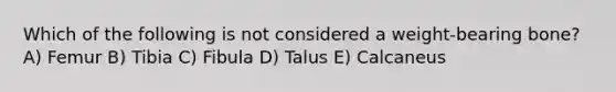 Which of the following is not considered a weight-bearing bone? A) Femur B) Tibia C) Fibula D) Talus E) Calcaneus