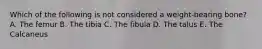 Which of the following is not considered a weight-bearing bone? A. The femur B. The tibia C. The fibula D. The talus E. The Calcaneus