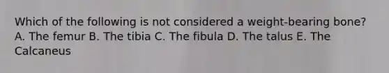 Which of the following is not considered a weight-bearing bone? A. The femur B. The tibia C. The fibula D. The talus E. The Calcaneus