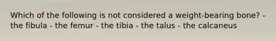 Which of the following is not considered a weight-bearing bone? - the fibula - the femur - the tibia - the talus - the calcaneus