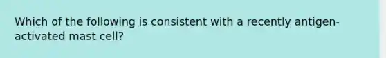 Which of the following is consistent with a recently antigen-activated mast cell?