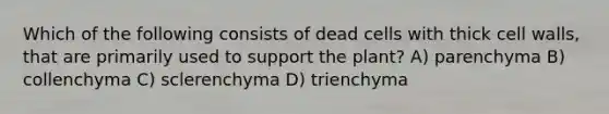 Which of the following consists of dead cells with thick cell walls, that are primarily used to support the plant? A) parenchyma B) collenchyma C) sclerenchyma D) trienchyma