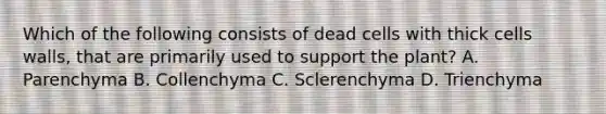 Which of the following consists of dead cells with thick cells walls, that are primarily used to support the plant? A. Parenchyma B. Collenchyma C. Sclerenchyma D. Trienchyma