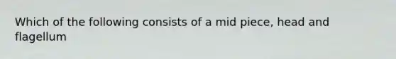 Which of the following consists of a mid piece, head and flagellum