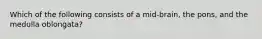 Which of the following consists of a mid-brain, the pons, and the medulla oblongata?