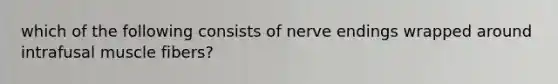 which of the following consists of nerve endings wrapped around intrafusal muscle fibers?