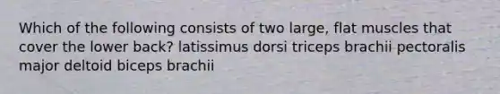 Which of the following consists of two large, flat muscles that cover the lower back? latissimus dorsi triceps brachii pectoralis major deltoid biceps brachii