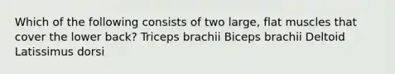 Which of the following consists of two large, flat muscles that cover the lower back? Triceps brachii Biceps brachii Deltoid Latissimus dorsi