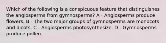 Which of the following is a conspicuous feature that distinguishes the angiosperms from gymnosperms? A - Angiosperms produce flowers. B - The two major groups of gymnosperms are monocots and dicots. C - Angiosperms photosynthesize. D - Gymnosperms produce pollen.