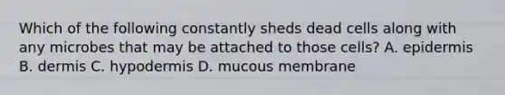 Which of the following constantly sheds dead cells along with any microbes that may be attached to those cells? A. epidermis B. dermis C. hypodermis D. mucous membrane
