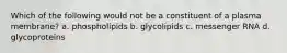 Which of the following would not be a constituent of a plasma membrane? a. phospholipids b. glycolipids c. messenger RNA d. glycoproteins