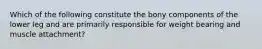 Which of the following constitute the bony components of the lower leg and are primarily responsible for weight bearing and muscle attachment?