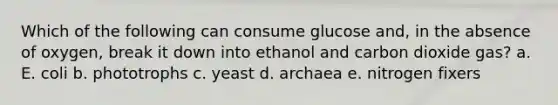 Which of the following can consume glucose and, in the absence of oxygen, break it down into ethanol and carbon dioxide gas? a. E. coli b. phototrophs c. yeast d. archaea e. nitrogen fixers