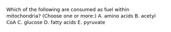 Which of the following are consumed as fuel within mitochondria? (Choose one or more:) A. amino acids B. acetyl CoA C. glucose D. fatty acids E. pyruvate